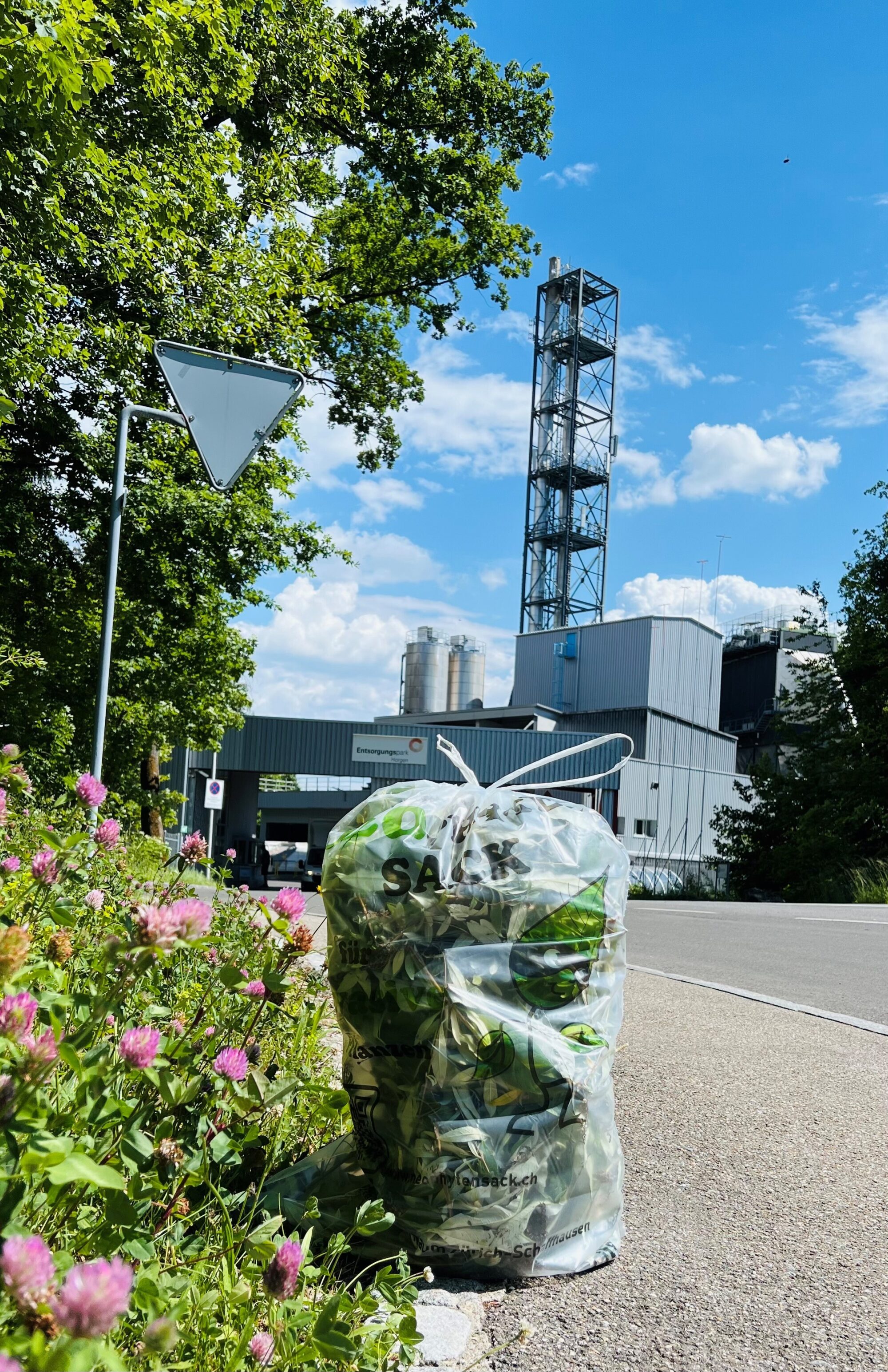 Naturnetz Zimemrberg Schönes Bild