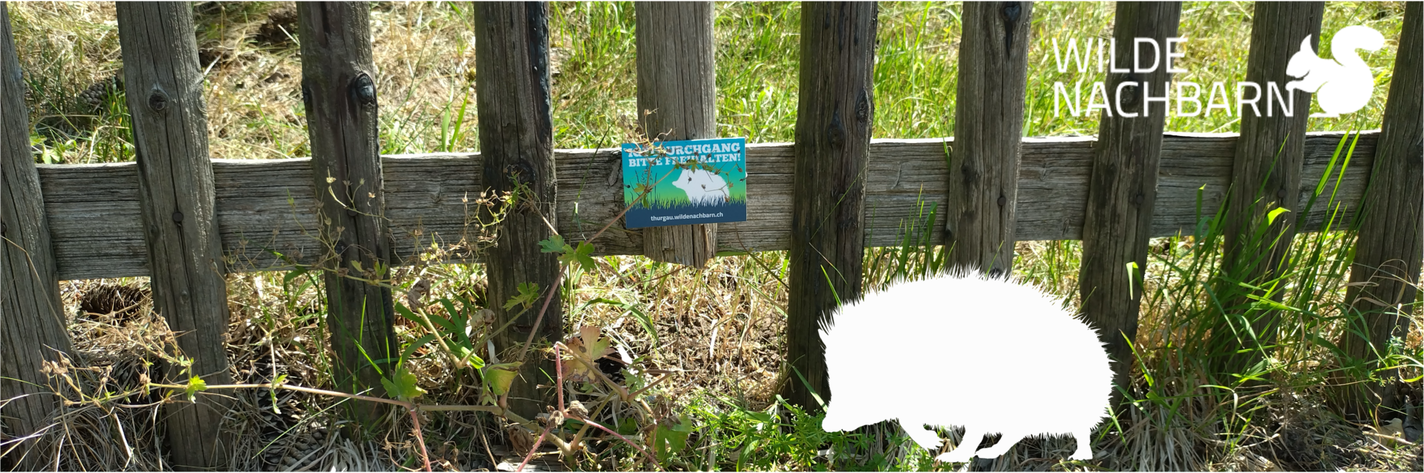 Naturnetz Zimemrberg Schönes Bild