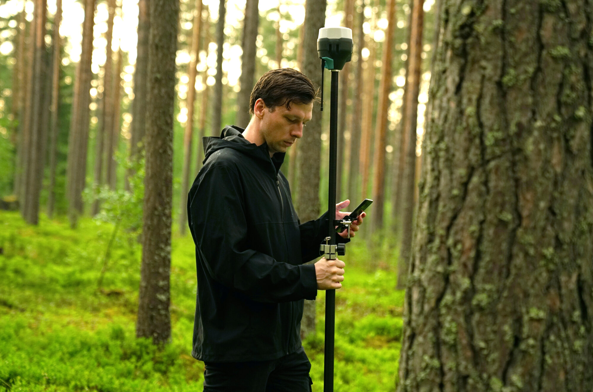 Naturnetz Zimemrberg Schönes Bild