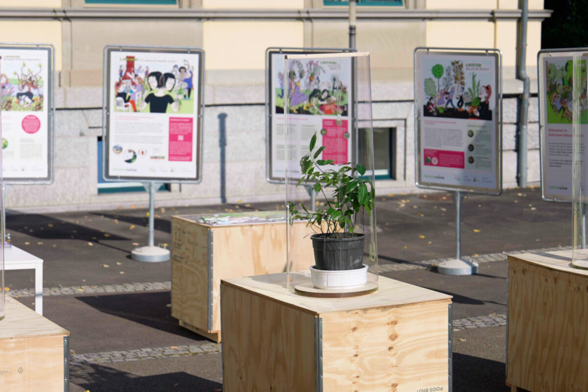 Naturnetz Zimmerberg Mobile Neophytenausstellung