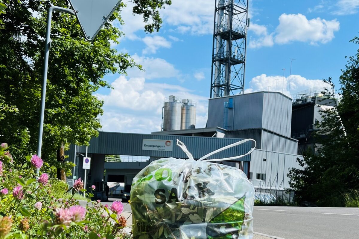 Naturnetz Zimemrberg Schönes Bild