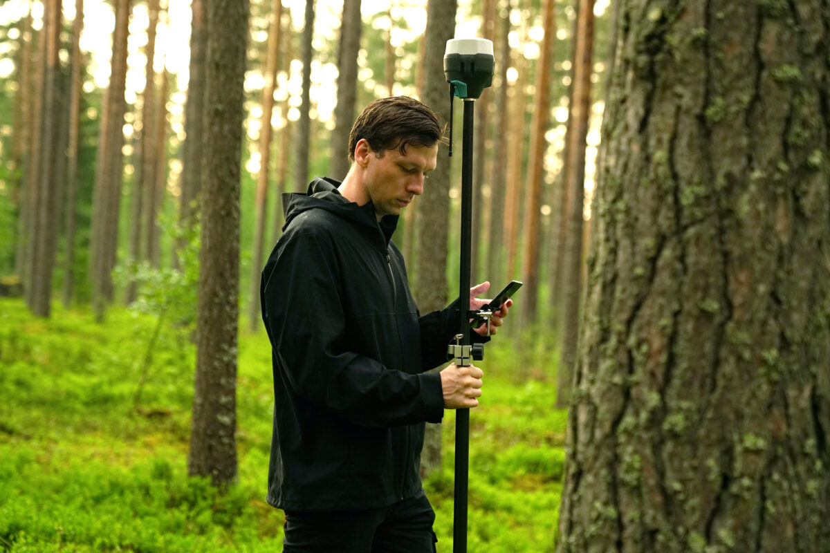 Naturnetz Zimemrberg Schönes Bild