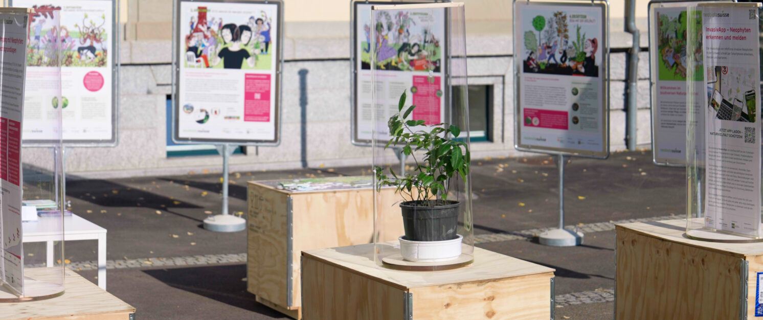 Mobile Neophytenausstellung