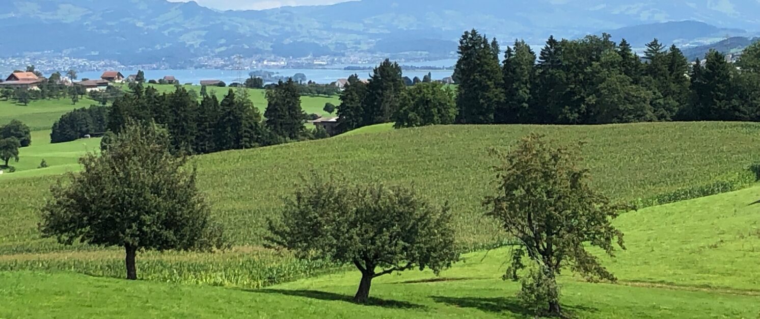 Vernetzungsprojekt Horgen / Wädenswil